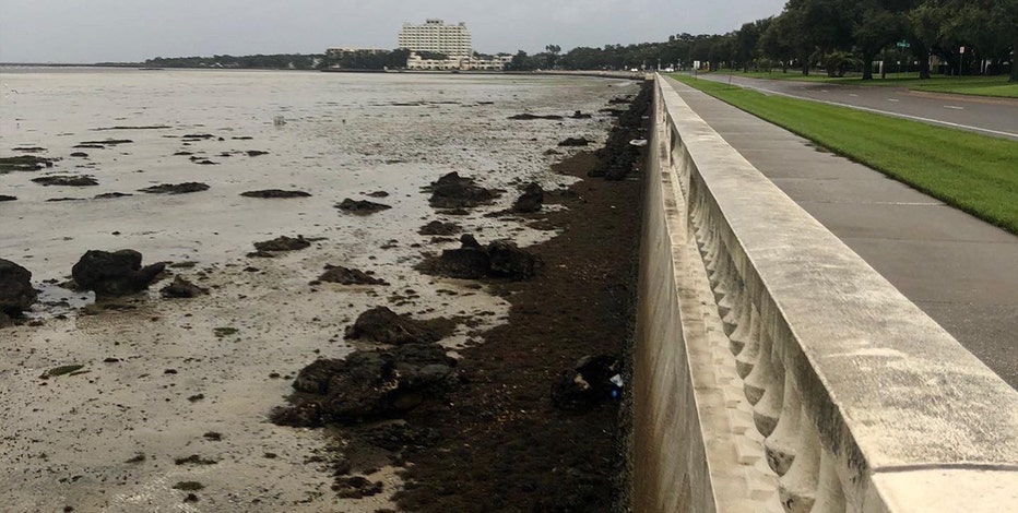 Hurricane Ian drains water across Tampa Bay area