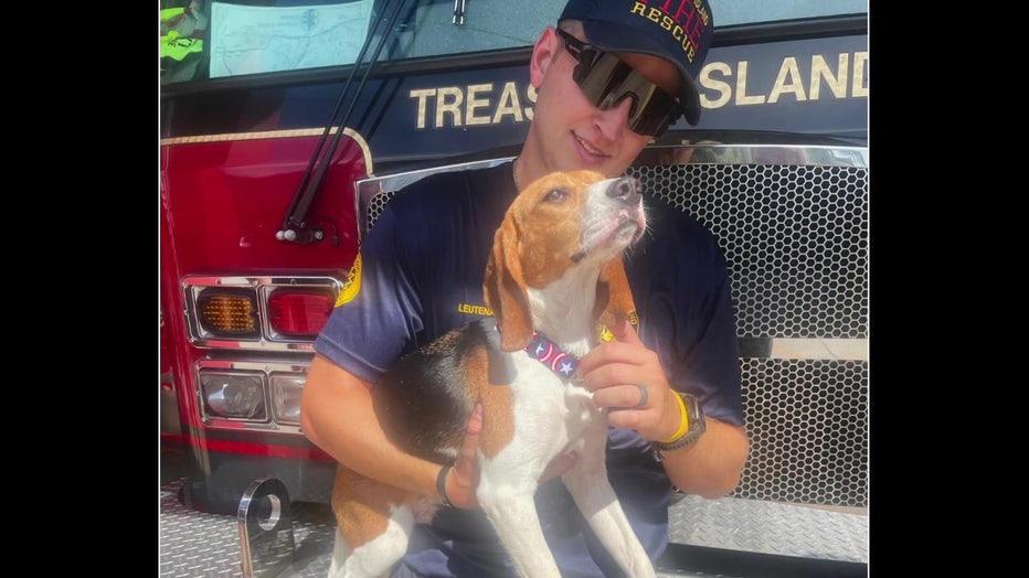 Captain the beagle poses with a Treasure Island firefighter.