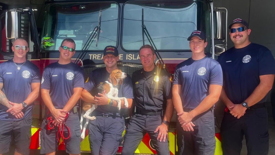 Captain the beagle poses with members of the Treasure Island Fire Department. 