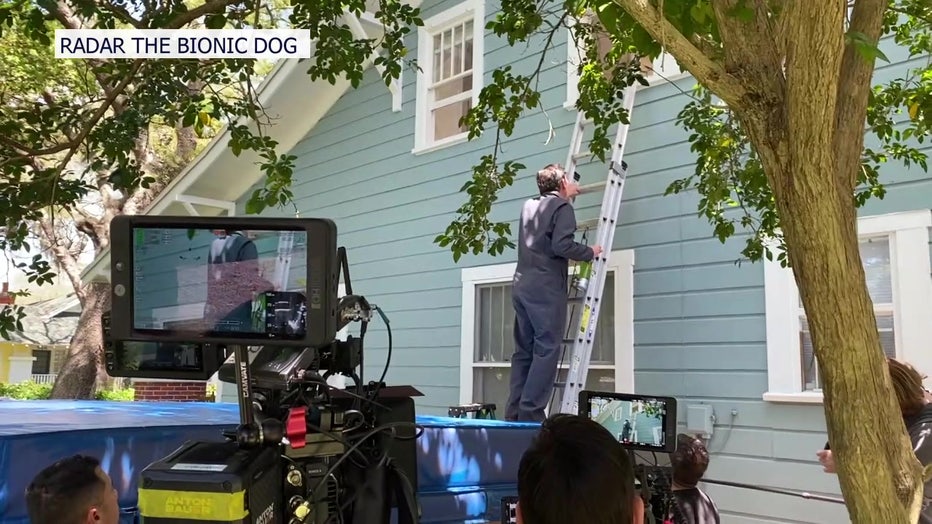 New Tampa actuality exhibit is newest instance of Bay Space’s flourishing movie {industry} New Tampa actuality exhibit is newest instance of Bay Space’s flourishing movie {industry}