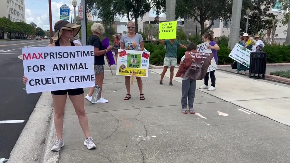Animal activists marched in Sarasota on Saturday calling for harsh punishment for the father and daughter accused of stabbing a raccoon and burning it alive. 