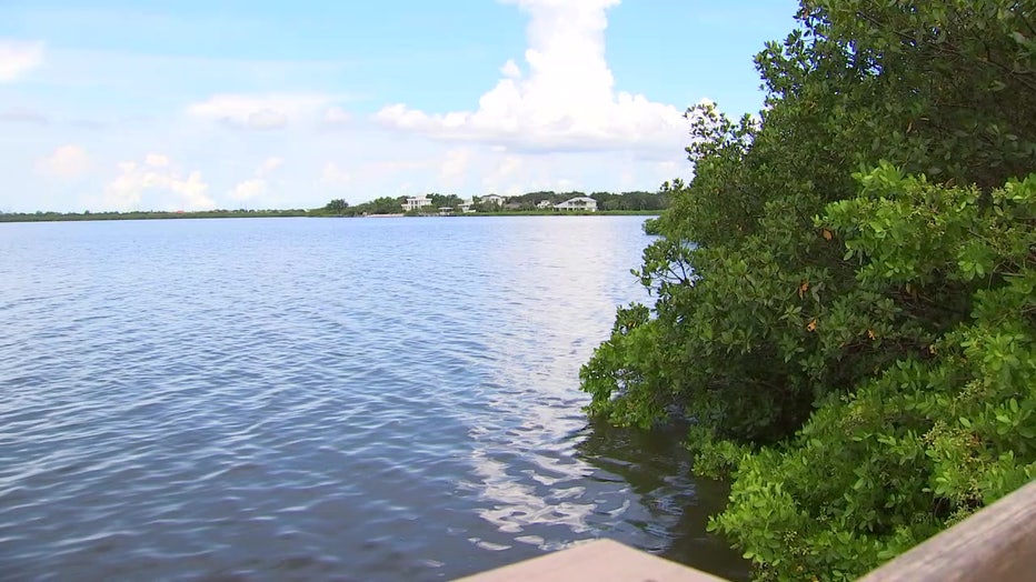 The Upper Tampa Bay Conservation Park has a creek on one side and the bay on the other.