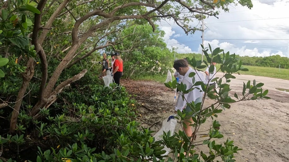 Volunteers pick up trash along Gandy Beach. 