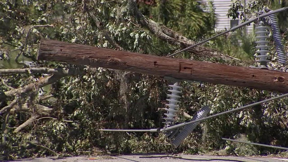 A large tree needs to be removed in the aftermath of Hurricane Ian. 