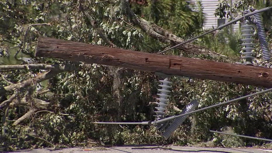 A large tree needs to be removed in the wake of Hurricane Ian.