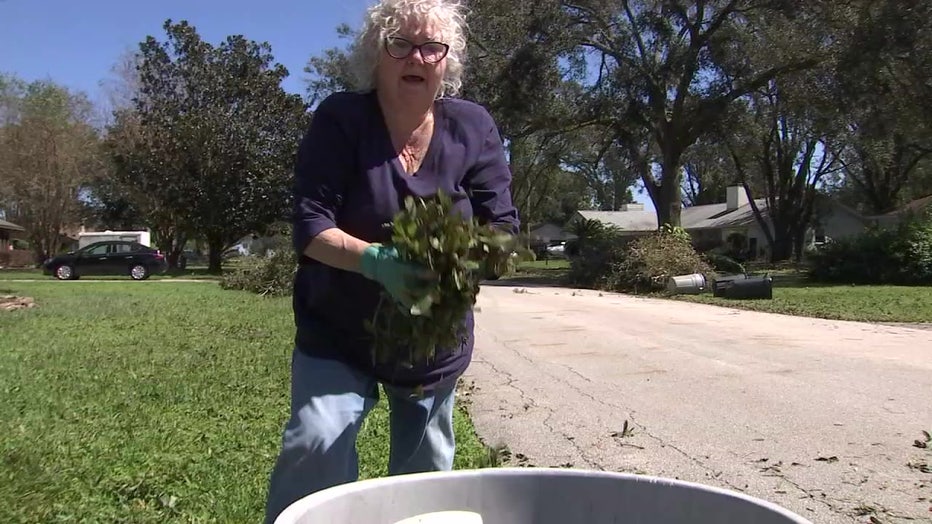 A woman puts leaves in a trash can after Hurricane Ian. 