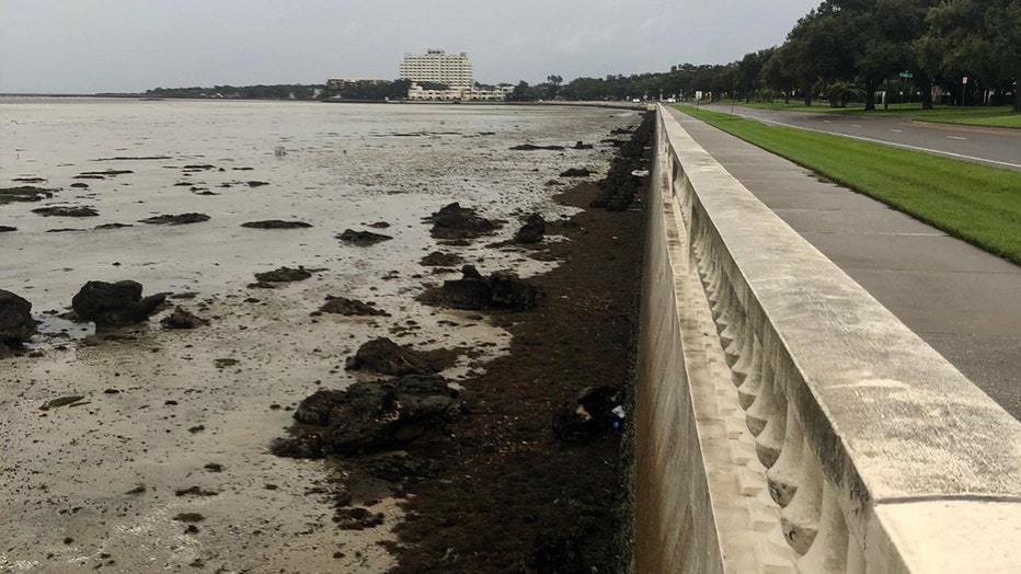 Hurricane Ian drains water across Tampa Bay area