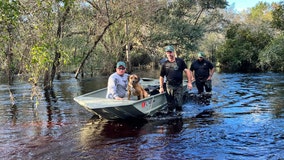 Deputies rescue dog stranded on RV roof in flooded DeSoto County community