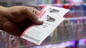 Reports: 1 of 2 winning Mega Millions tickets sold in Fort Myers