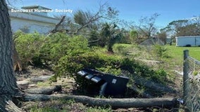 Suncoast Humane Society's animal shelter inoperable, unsafe due to extensive damage from Hurricane Ian: CEO