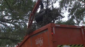 Florida counties under FEMA deadline to get reimbursed for Hurricane Ian debris pick up