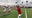 Lakewood High football continues Pinellas County dominance