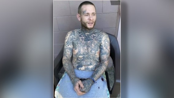 Florida K9 captures accused kidnapper hiding under laundry, trash