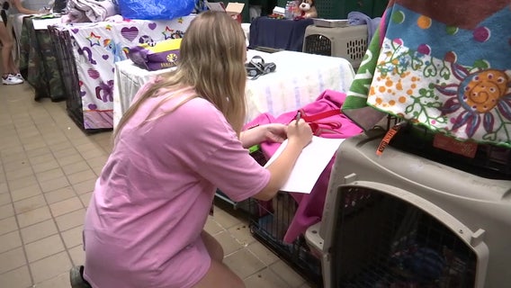 USF researchers study evacuation behaviors before and after Hurricane Ian