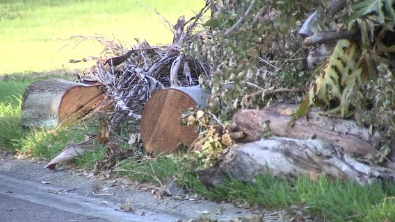 Hurricane Ian debris piles line streets in Hillsborough, Pinellas counties