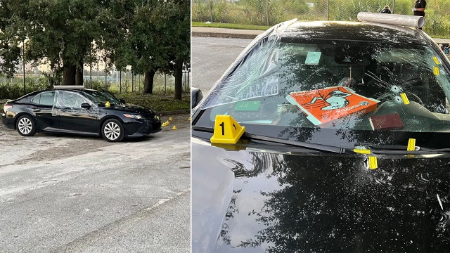 Tampa police: Unidentified suspect randomly fired weapon into vehicle with homeless family sleeping inside