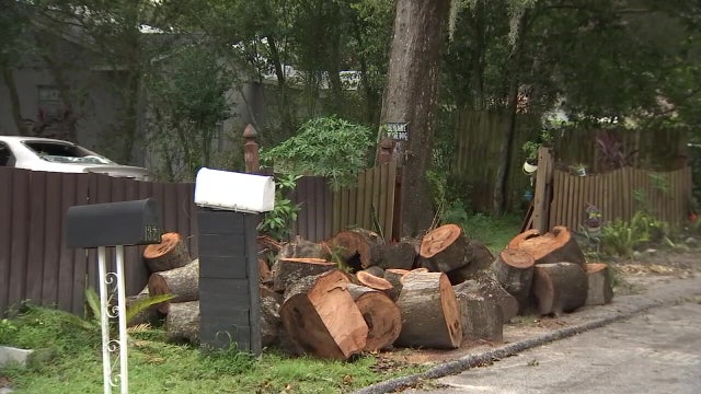 Debris clean up continues in Hillsborough County after Hurricane Ian