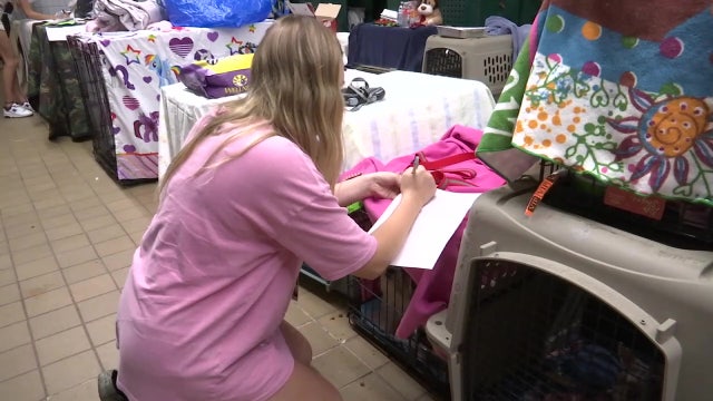 USF researchers study evacuation behaviors before and after Hurricane Ian