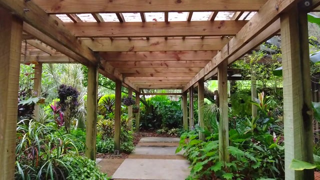 Beloved botanical gardens in Tampa started as man's passion for botany