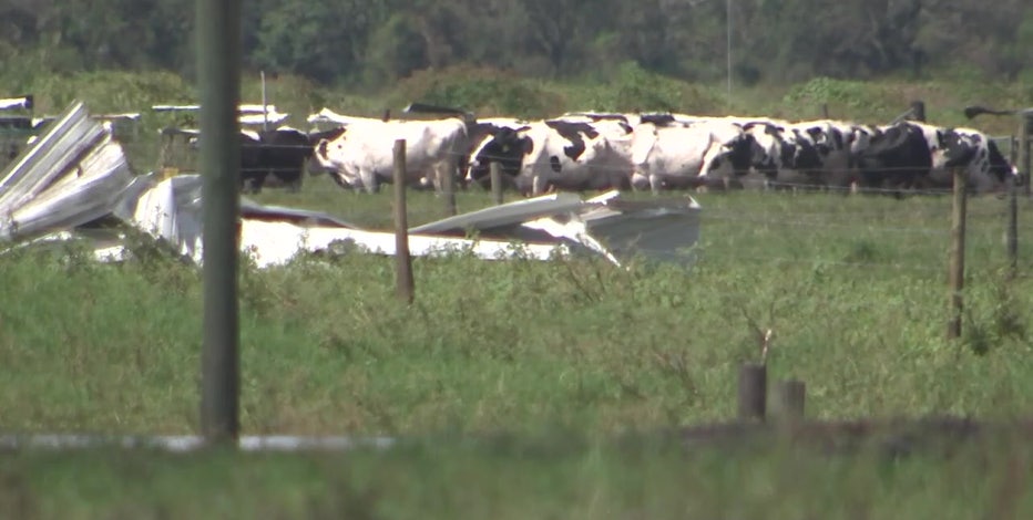 Jerry Dakin, Florida Farmer of the Year 2022