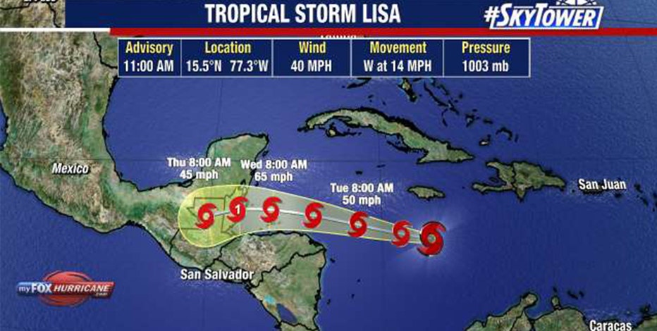 Lisa Storms