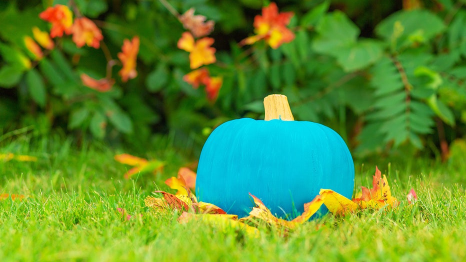 Teal pumpkins