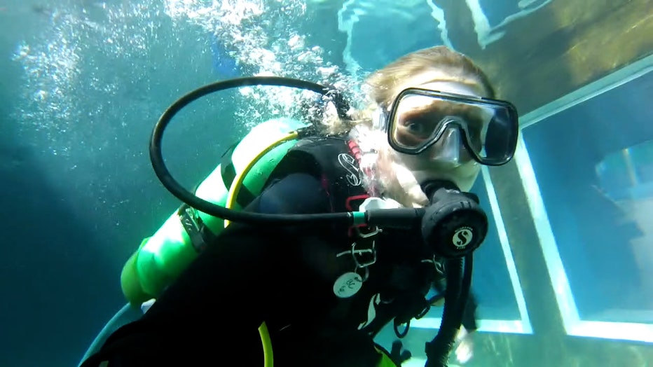 Rachel inside shark tank at Mote Marine.