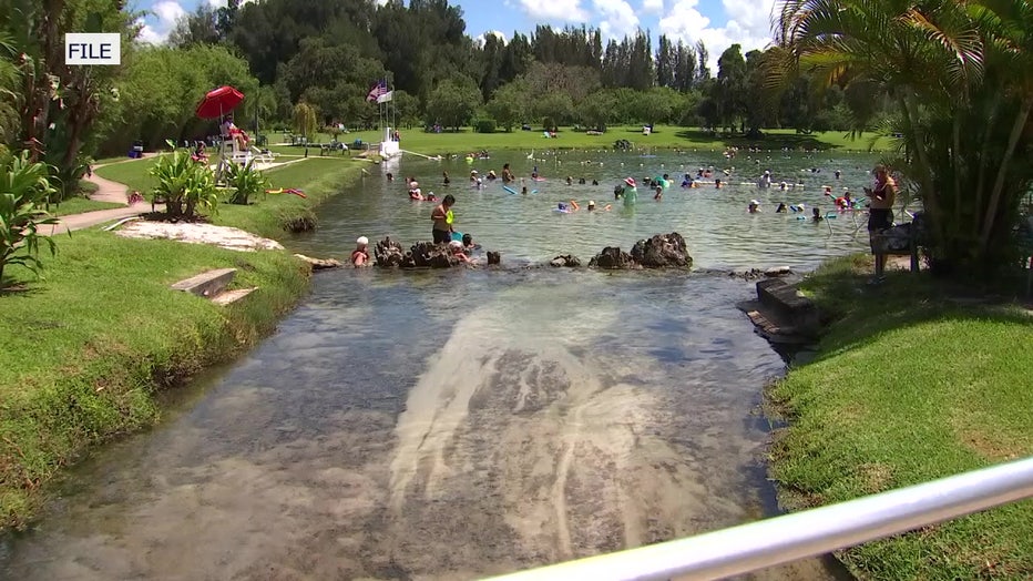 People swim at Warm Mineral Springs Park before Hurricane Ian. 