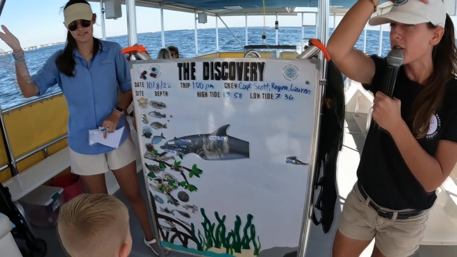 Tampa Bay Watch takes guests out on the water to learn more about the bay and how to protect it. 