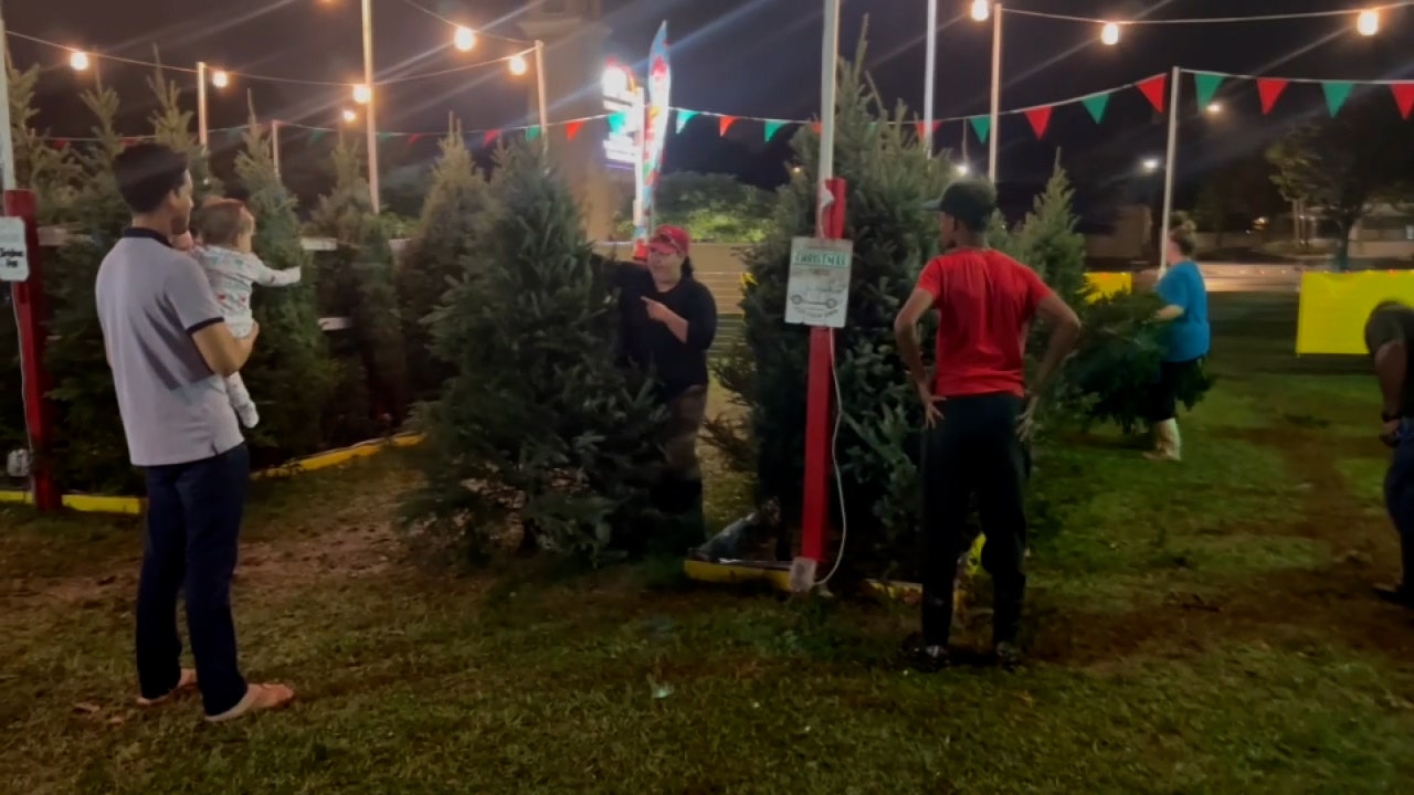 Christmas tree shopping in full swing after Thanksgiving - Vimarsana News