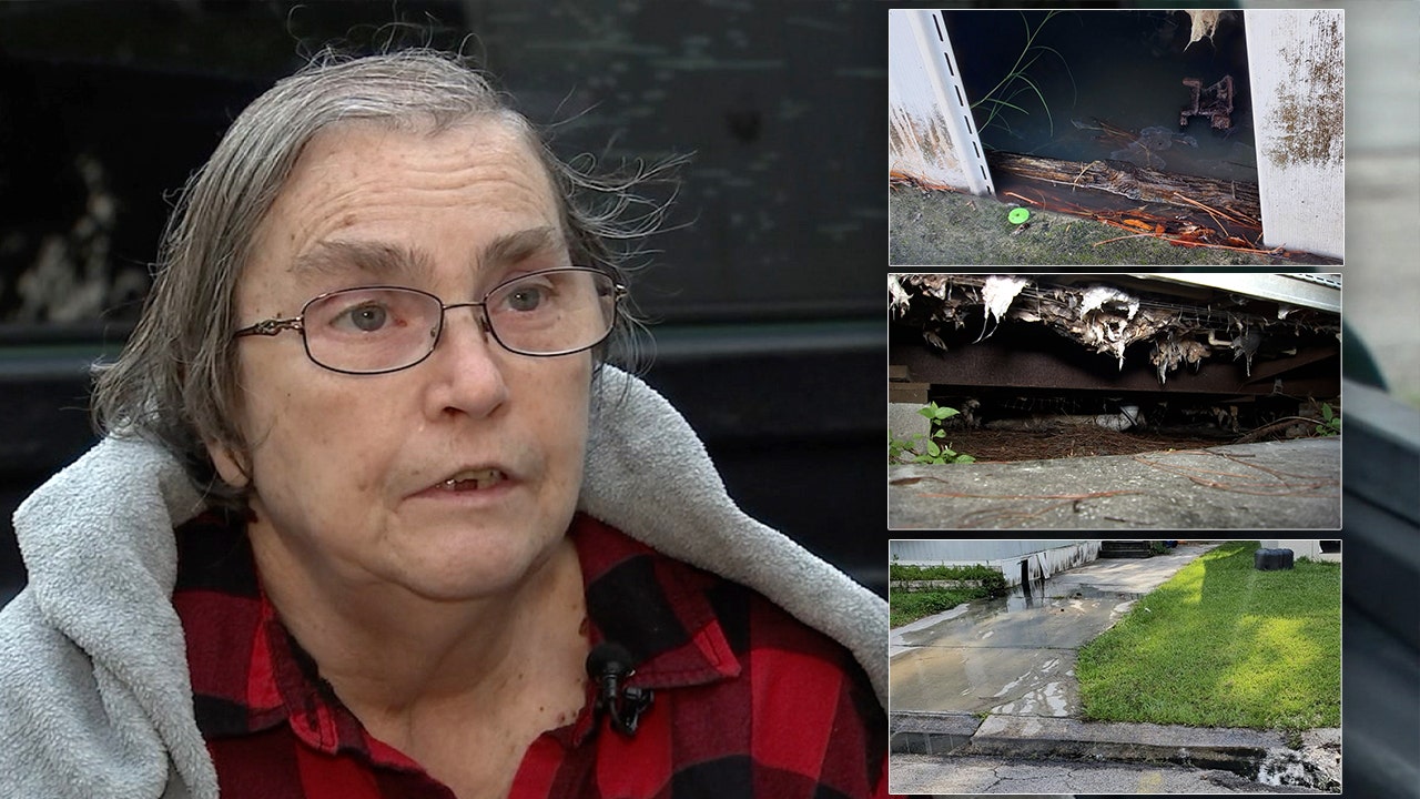 Gibsonton woman wants repairs done to finally return home after sewage leak in May