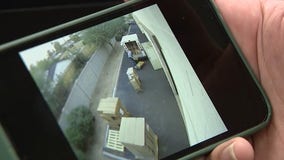 ‘Unacceptable behavior’: USPS employee caught on camera hurling packages into mail truck