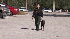 Pasco County detective, therapy dog provides assistance to struggling veterans