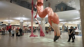 Tampa International Airport's pink flamingo 'Phoebe' earns international art award