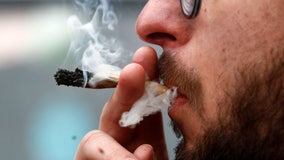 Study: Weed smokers had more cases of emphysema, inflamed airways than some cigarette smokers