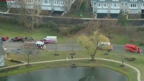 2 little boys ID'd by medical examiner after falling in frozen Palatine pond