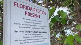Red tide returns to Sarasota County beaches