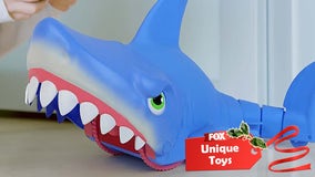 Unique toys for kids of all ages