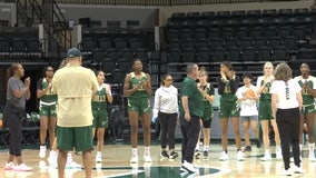 USF women's basketball brings in all-international freshman class