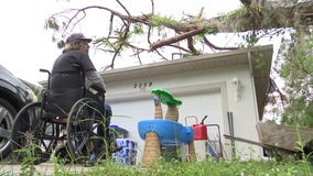 Request denied by FP&L to remove tree from power line on disabled man's home