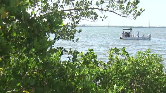 Tampa Bay area leaders release roadmap for local governments to help protect coast against changing weather