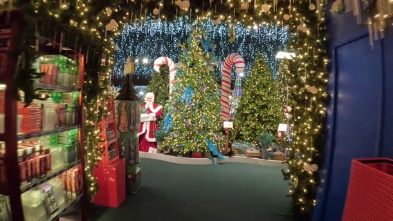 How to decorate your Christmas tree like pro this holiday season