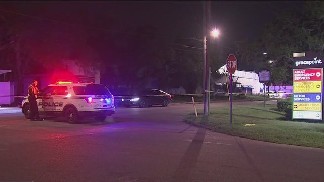 Woman dies after walking into path of vehicle while trying to cross Tampa road, police say