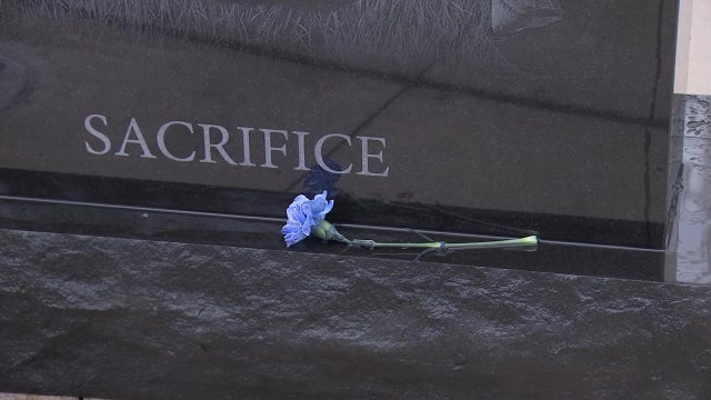 Tampa celebrates its military heroes on Veterans Day