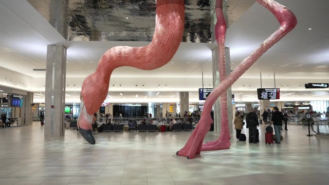 TPA named 2nd best large airport in country by USA Today readers