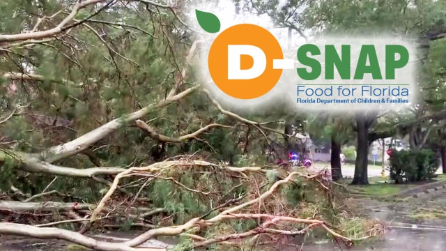 Help after Ian: Disaster relief center open Thursday in Tampa