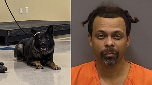 Hillsborough sheriff: deputies rescue woman held against her will in Dover home; K9 apprehends suspect