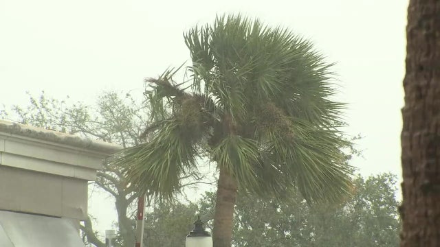 Tampa Bay area braces for Hurricane Nicole ahead of landfall