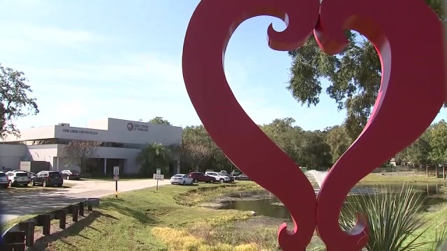 ‘We need to support them’: 24/7 statewide line works to help veterans