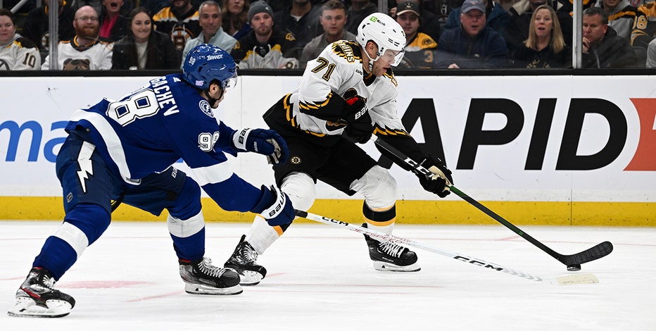 Boston Bruins 2022 – 2023 Most win in a single season in NHL